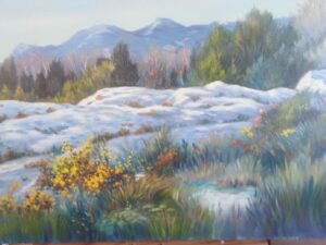 Un hiver sur les Baux de Provence